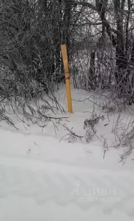 Участок в Марий Эл, Медведевский район, Нурминское с/пос, с. Нурма  ... - Фото 1