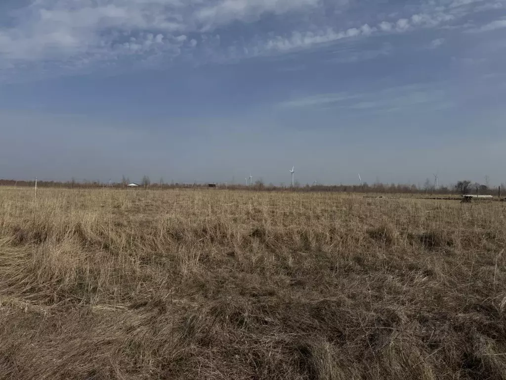 Участок в Ульяновская область, Чердаклинский район, Красноярское ... - Фото 2