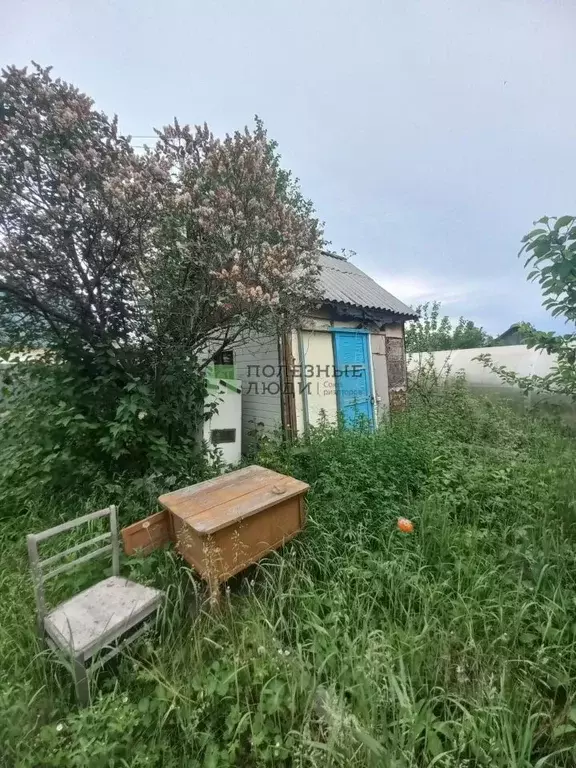 Дом в Курганская область, Курган Железнодорожник СНТ,  (25 м) - Фото 0
