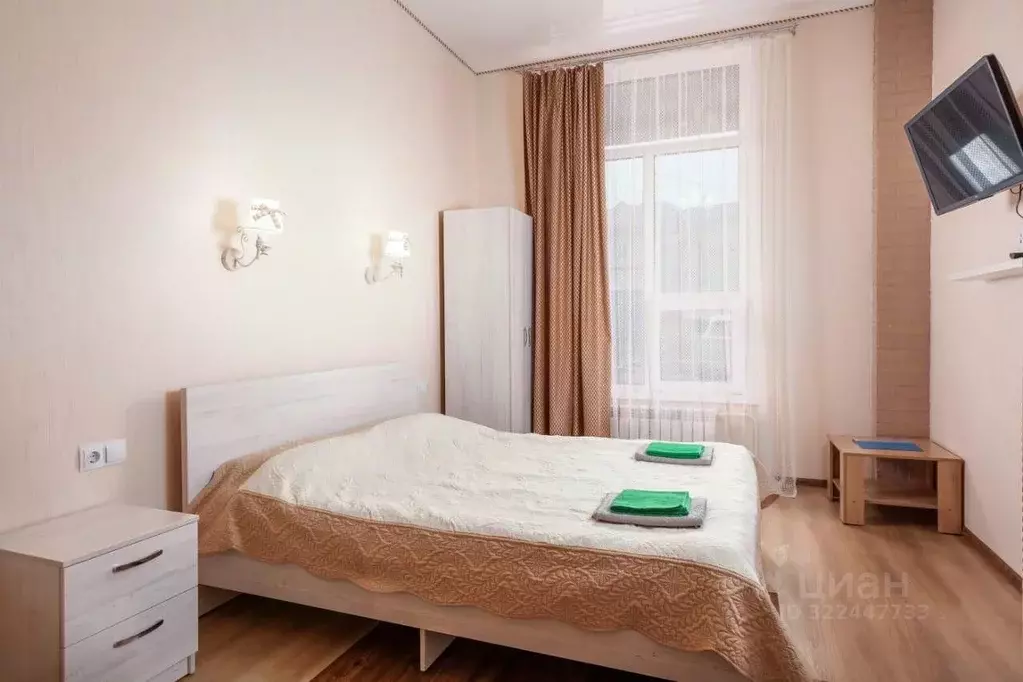 1-к кв. Алтай, Горно-Алтайск Проточная ул., 10/1к4 (40.0 м) - Фото 2