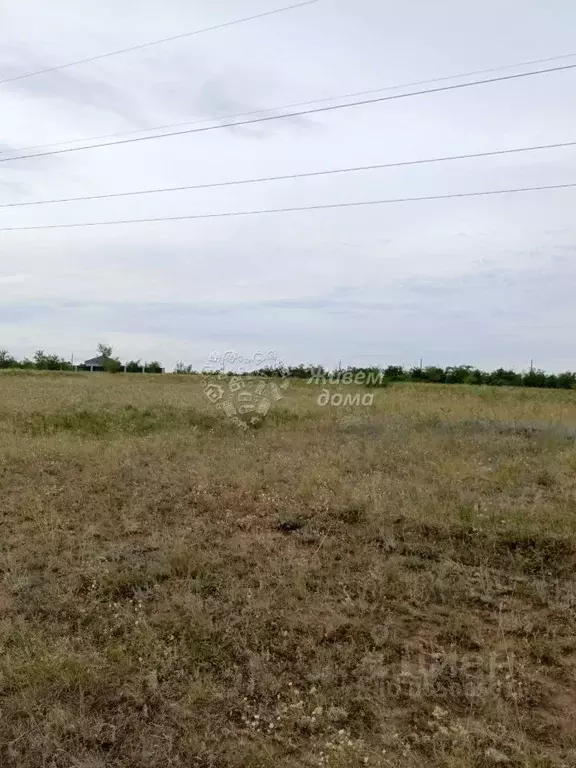 Участок в Волгоградская область, Городищенский район, Царицынское ... - Фото 0