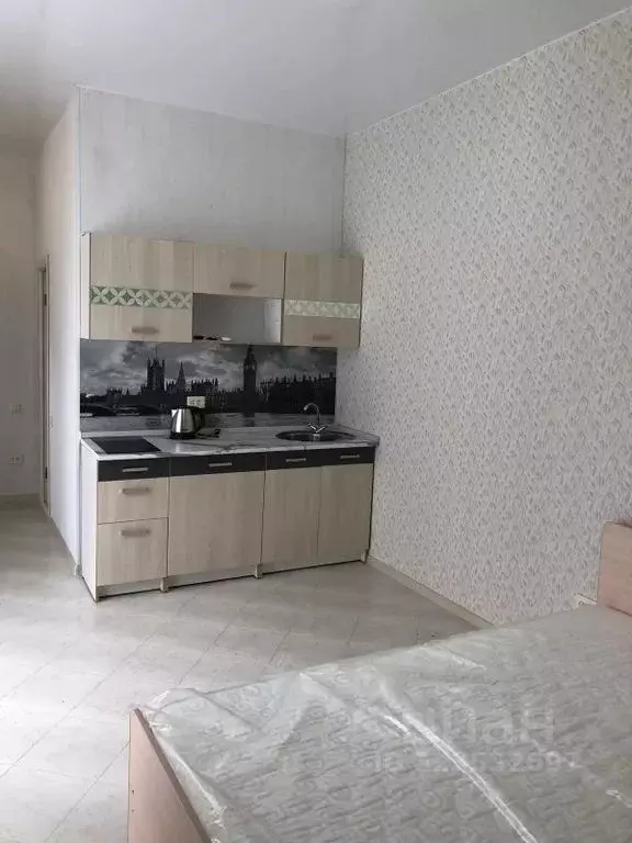 Студия Крым, Евпатория ул. Революции, 16 (20.0 м) - Фото 1