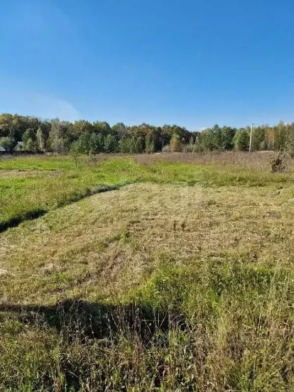Участок в Башкортостан, Иглинский сельсовет, д. Петрово-Федоровка  ... - Фото 2