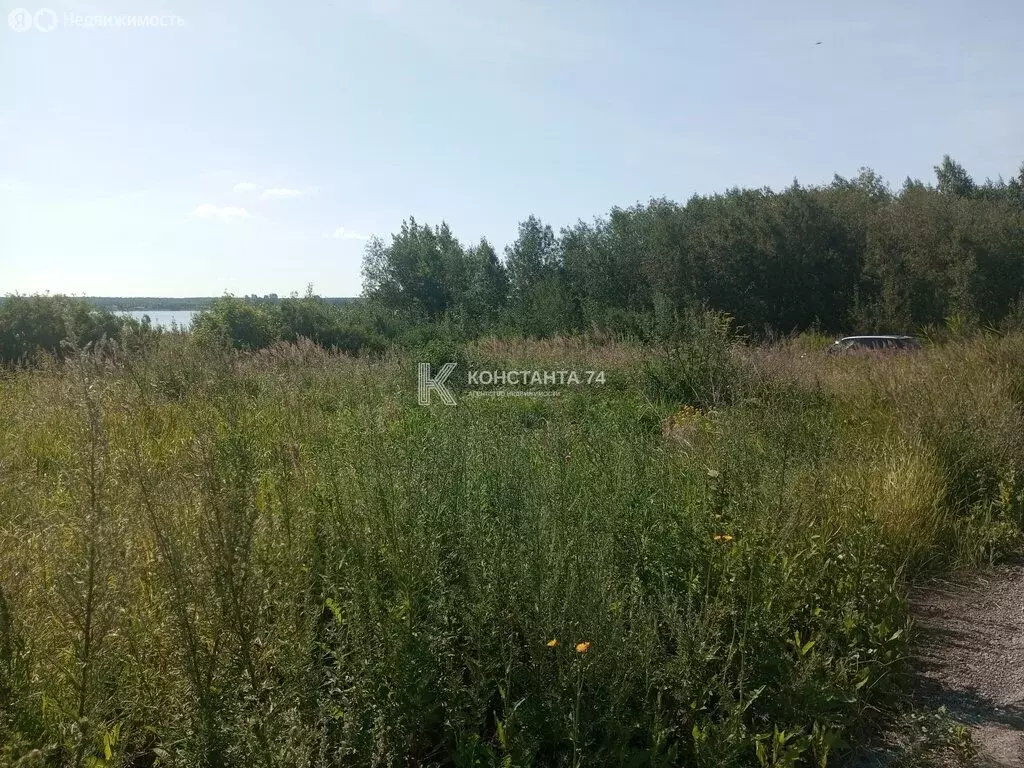 Участок в Челябинская область, Аргаяшский муниципальный округ, ... - Фото 1