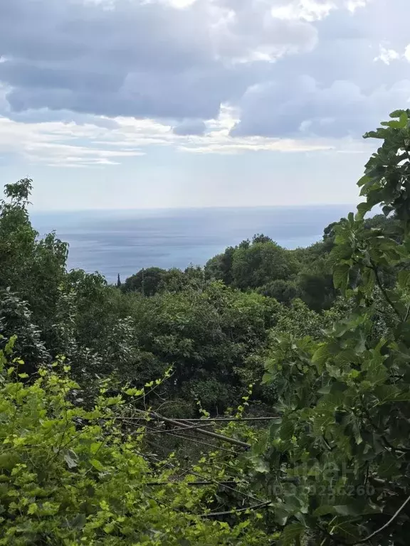 Дом в Крым, Ялта муниципальный округ, с. Оползневое ш. ... - Фото 0