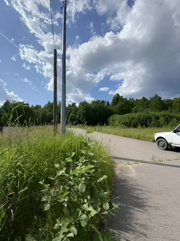 Участок в Ленинградская область, Выборгский район, Каменногорское ... - Фото 0