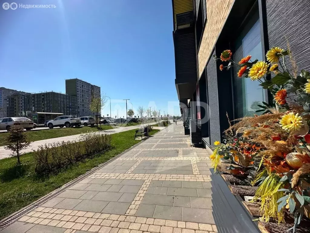 Помещение свободного назначения (31 м) - Фото 1