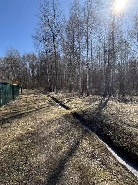 Участок в Владимирская область, Суздальский район, Новоалександровское ... - Фото 0