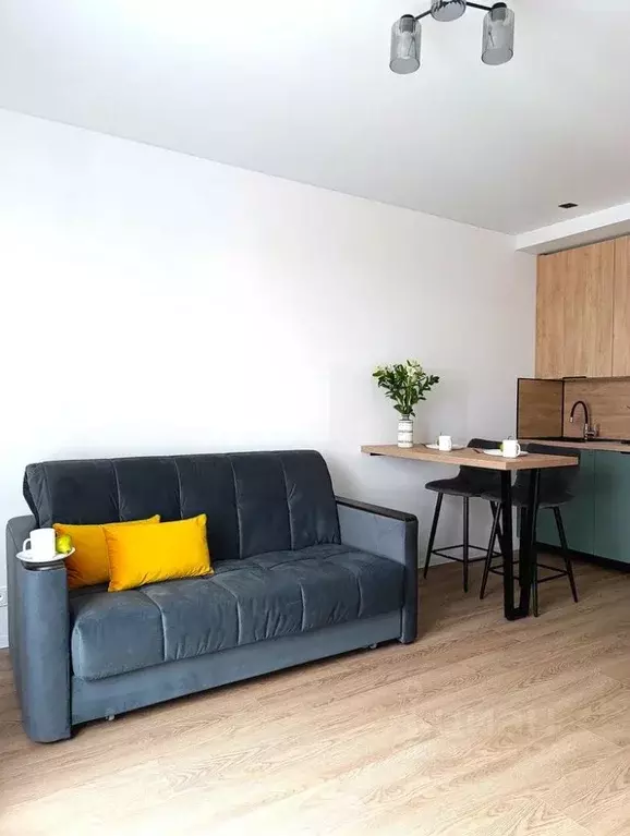 Студия Москва ул. Михайлова, 30Ак2 (23.6 м) - Фото 1