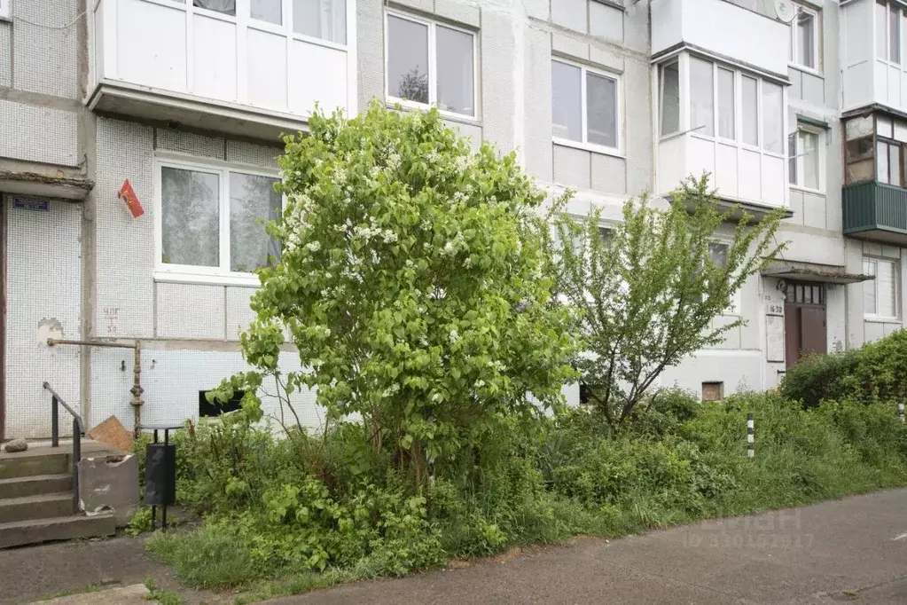 2-к кв. Калининградская область, Багратионовский муниципальный округ, ... - Фото 2