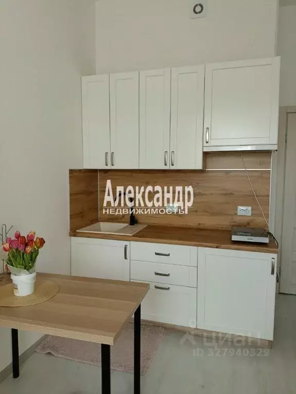 Студия Санкт-Петербург ул. Орбитальная, 11 (26.0 м) - Фото 2