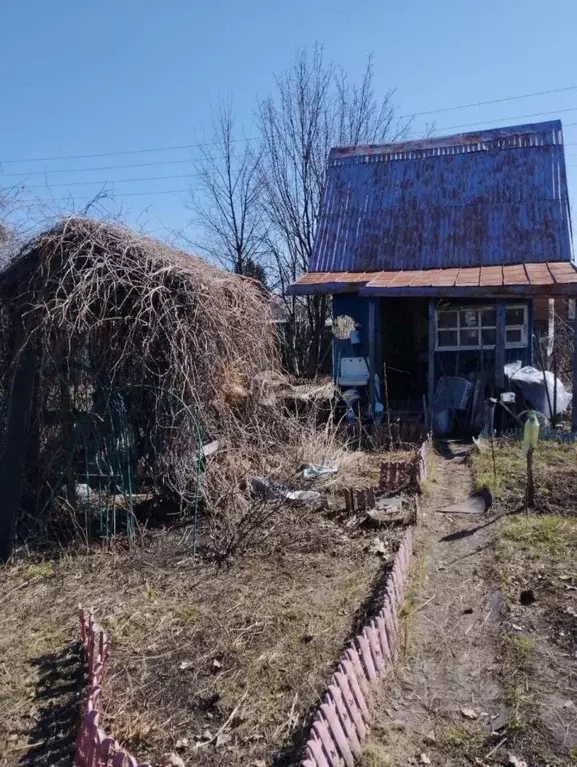 Дом в Новосибирская область, Новосибирский район, Толмачевский ... - Фото 1