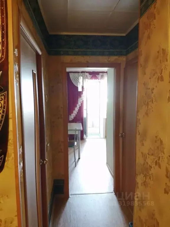 1-к кв. Алтайский край, Бийск ул. Ильи Мухачева, 127 (33.5 м) - Фото 1