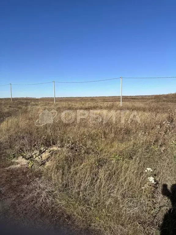 Участок в Тюменская область, Тюменский муниципальный округ, ... - Фото 1