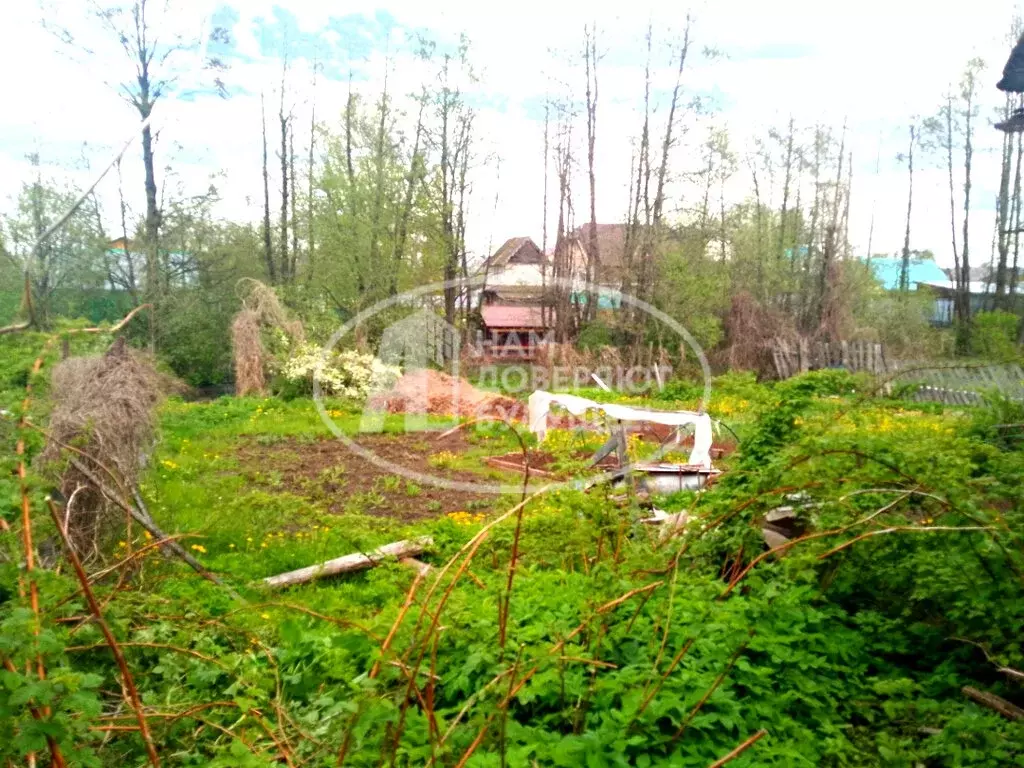 Дом в посёлок Новый, Береговая улица, 13 (30 м) - Фото 1