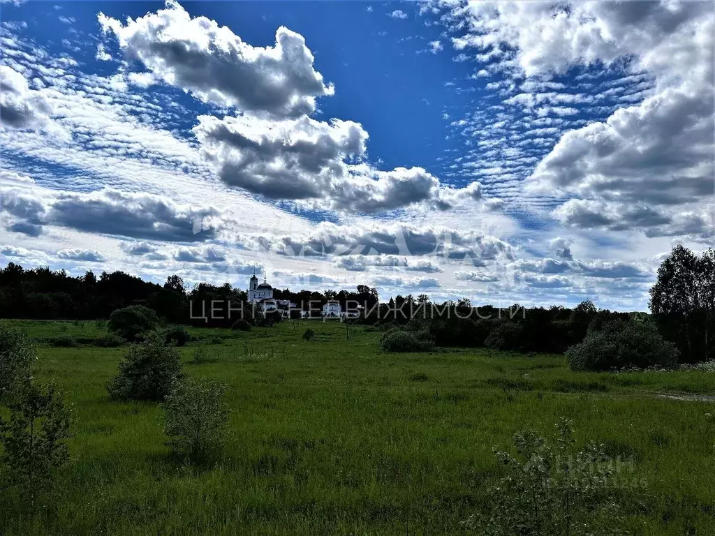 Участок в Владимирская область, Александровский район, Каринское ... - Фото 0