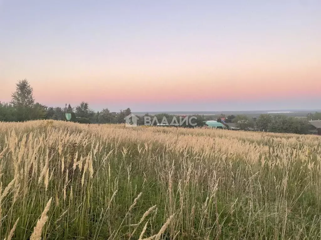 Участок в Нижегородская область, Кстовский муниципальный округ, д. ... - Фото 0