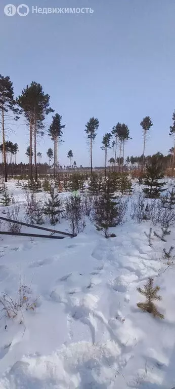 Участок в посёлок Забайкальский, Зелёная улица (15 м) - Фото 0