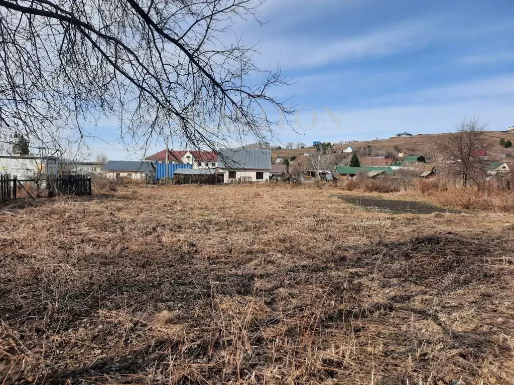 Участок в Алтай, Майминский район, с. Кызыл-Озек ул. Новоселов (24.0 ... - Фото 2