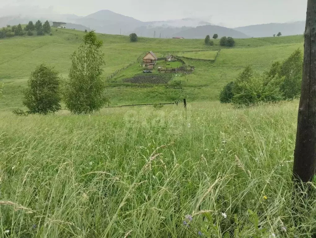 Участок в Алтай, Майминский район, с. Кызыл-Озек ул. С.С. Суразакова, ... - Фото 1