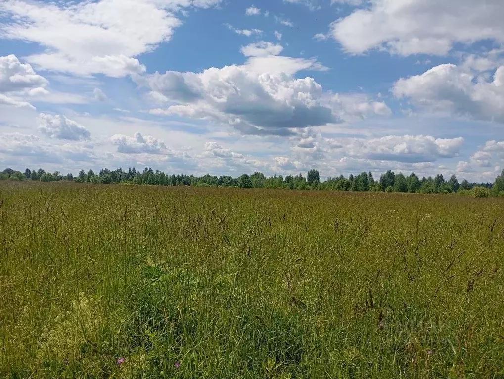 Участок в Московская область, Талдомский городской округ, д. Костино  ... - Фото 1