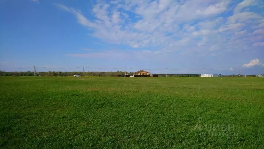 Участок в Ленинградская область, Волосовский район, Клопицкое с/пос, ... - Фото 2