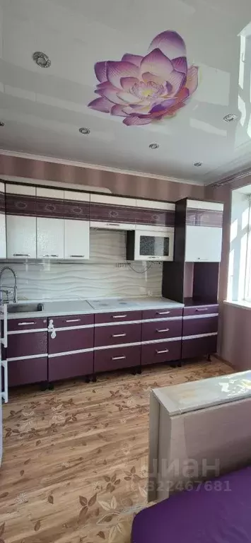 1-к кв. Оренбургская область, Оренбург Северный проезд, 16/1 (41.0 м) - Фото 1