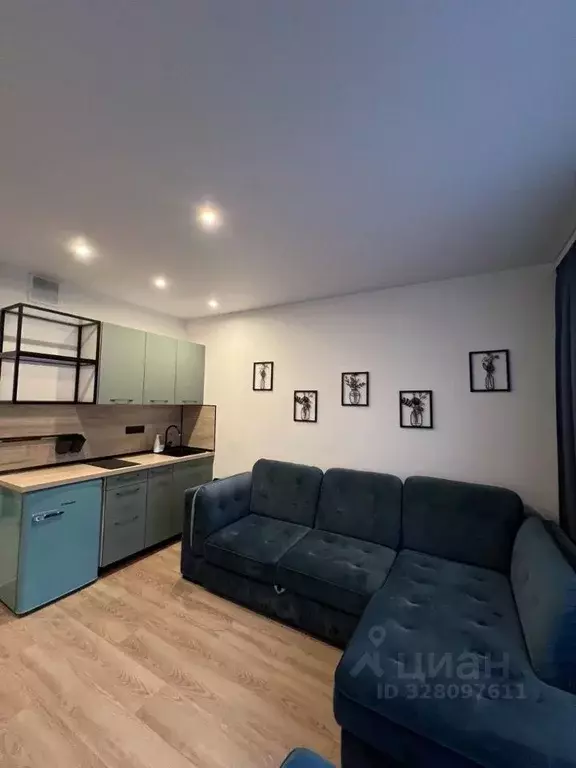 Студия Московская область, Мытищи ул. Мира, 49 (20.0 м) - Фото 2