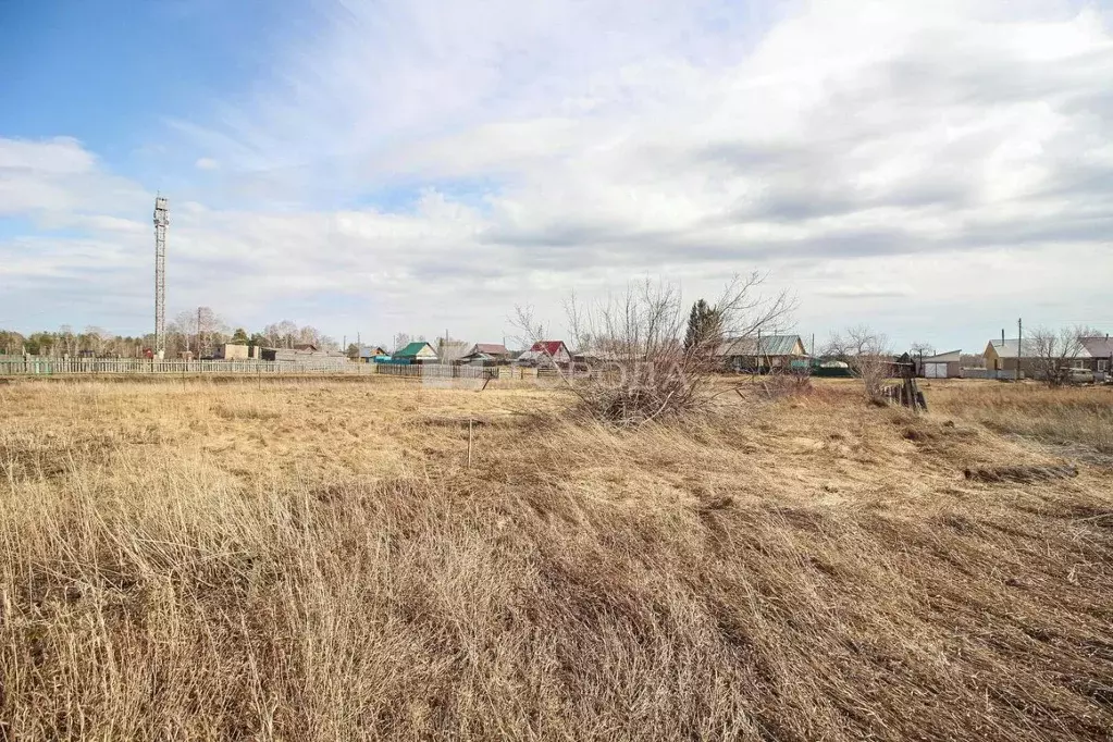 Участок в Алтайский край, Первомайский район, Бобровский сельсовет, ... - Фото 1
