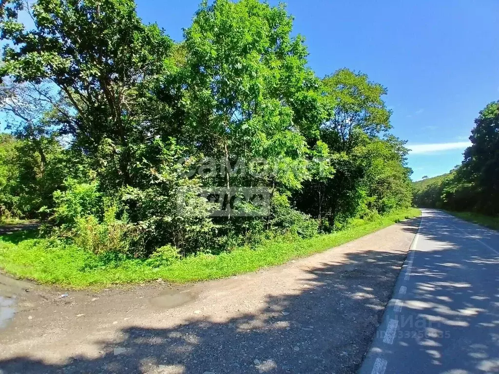 Участок в Приморский край, Дунай пгт ул. Почтовая, 4 (16.67 сот.) - Фото 1