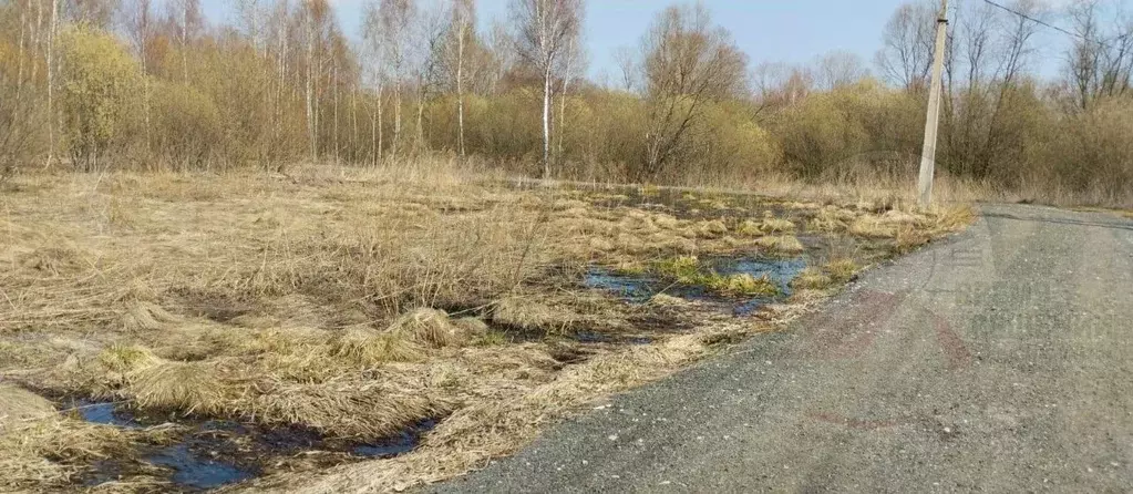 Участок в Московская область, Богородский городской округ, с. Стромынь ... - Фото 2