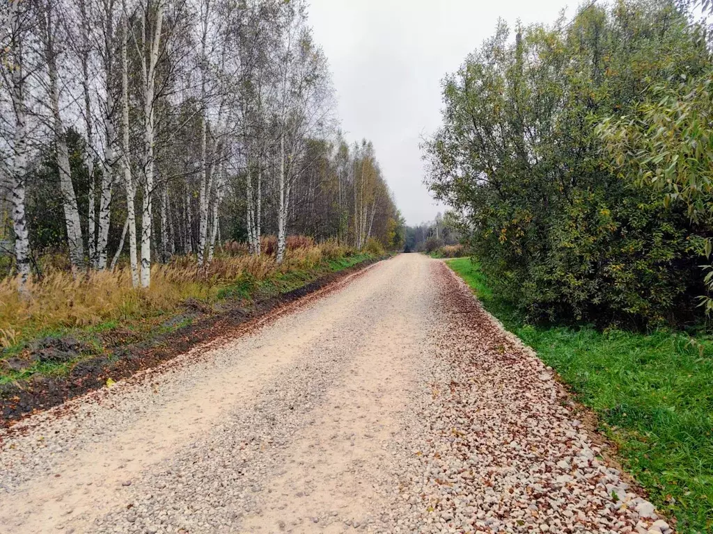 Участок в Владимирская область, Киржачский муниципальный округ, д. ... - Фото 1