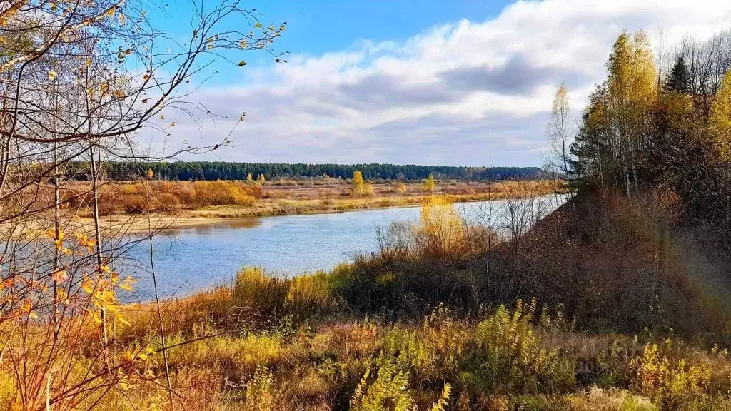 Участок в Кировская область, Котельничский район, Биртяевское с/пос, ... - Фото 1