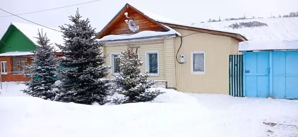 Дом в Татарстан, Нижнекамский район, Простинское с/пос, с. Прости ул. ... - Фото 1