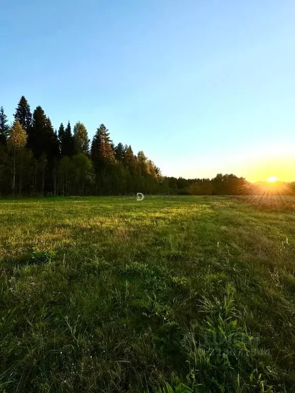 Участок в Кировская область, Кирово-Чепецкий район, с. Кстинино  (20.0 ... - Фото 1