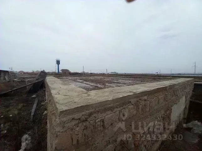 Участок в Оренбургская область, Бузулукский район, Новоалександровский ... - Фото 1