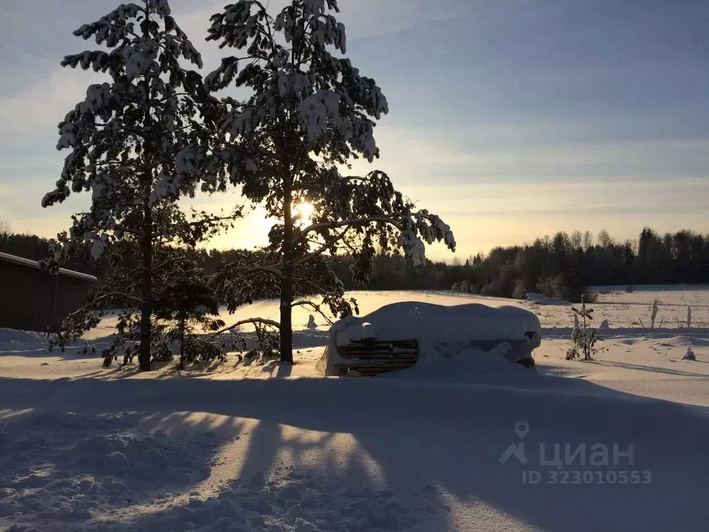 Дом в Ленинградская область, Выборгский район, Селезневское с/пос, ... - Фото 2