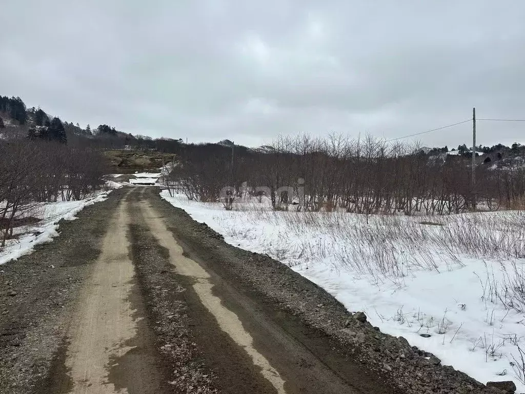 Участок в Сахалинская область, Южно-Курильский городской округ, с. ... - Фото 0
