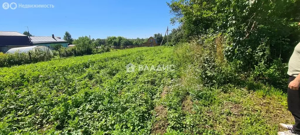 Участок в городской округ Владимир, село Спасское (8.8 м) - Фото 2