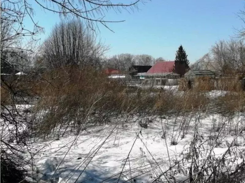 Участок в Новосибирская область, Новосибирский район, Станционный ... - Фото 0