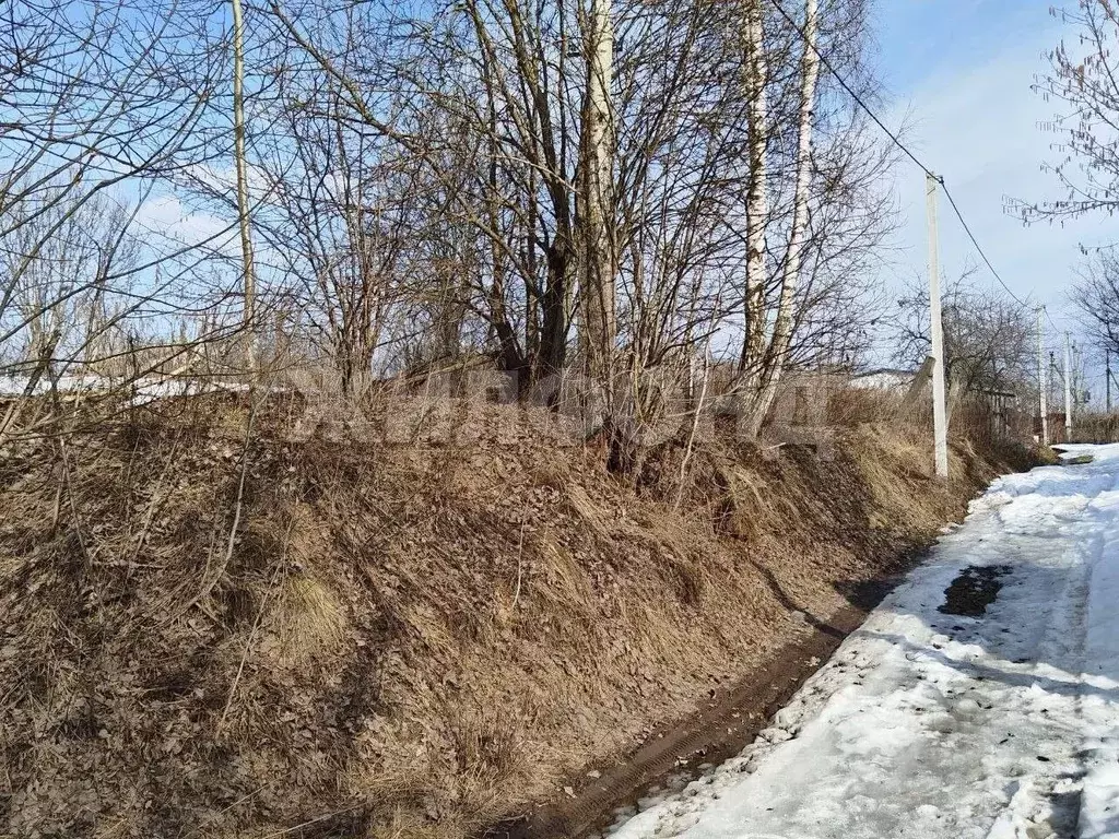 Участок в Брянская область, Брянский район, Добрунское с/пос, Сигнал ... - Фото 2