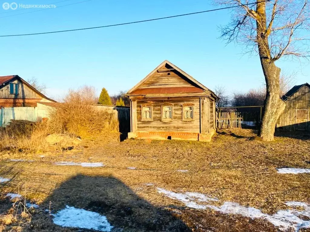 Участок в Суздальский район, муниципальное образование Селецкое, село ... - Фото 1