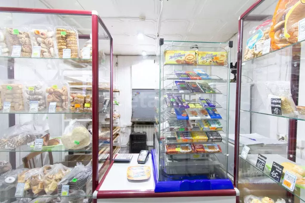 Торговая площадь в Свердловская область, Нижний Тагил Бирюзовая ул., 2 ... - Фото 2