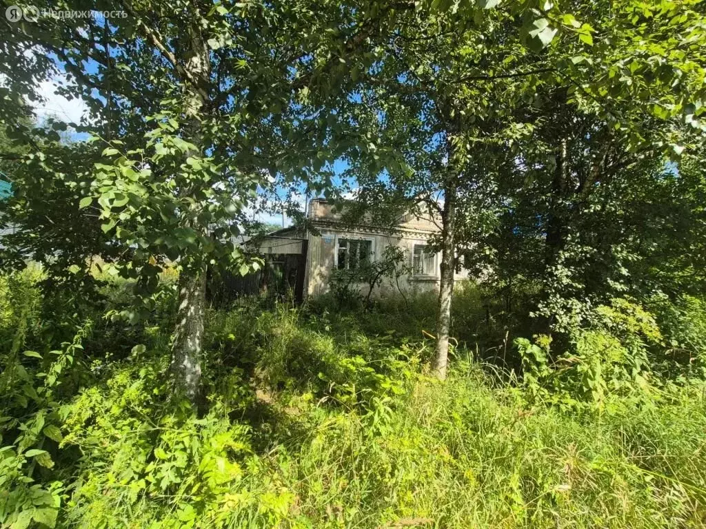 Участок в Тверь, Авангардная улица, 1А (4.7 м) - Фото 2