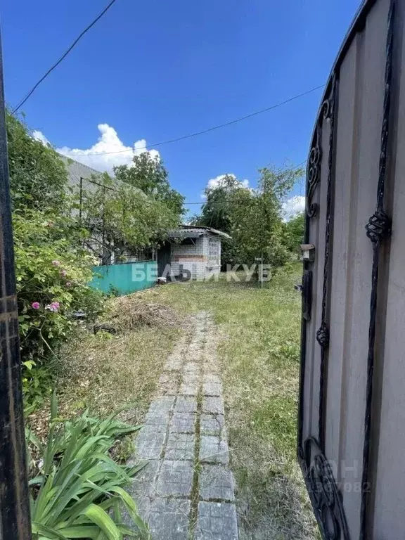 Участок в Белгородская область, Белгородский муниципальный округ, с. ... - Фото 2