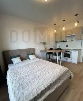 Квартира-студия, 23,5 м, 6/17 эт. - Фото 0