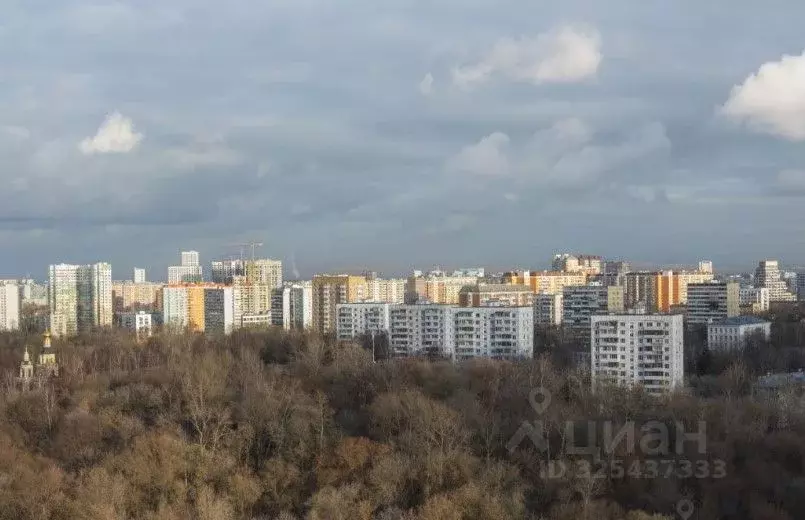 Студия Москва Березовая аллея, 19к6 (24.2 м) - Фото 0