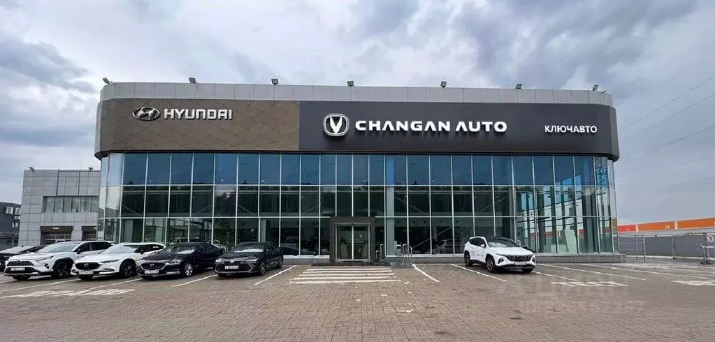 Помещение свободного назначения в Курская область, Курск ул. 50 лет ... - Фото 1