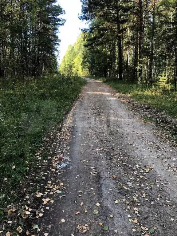 Участок 1,5 га (СНТ, ДНП) - Фото 1