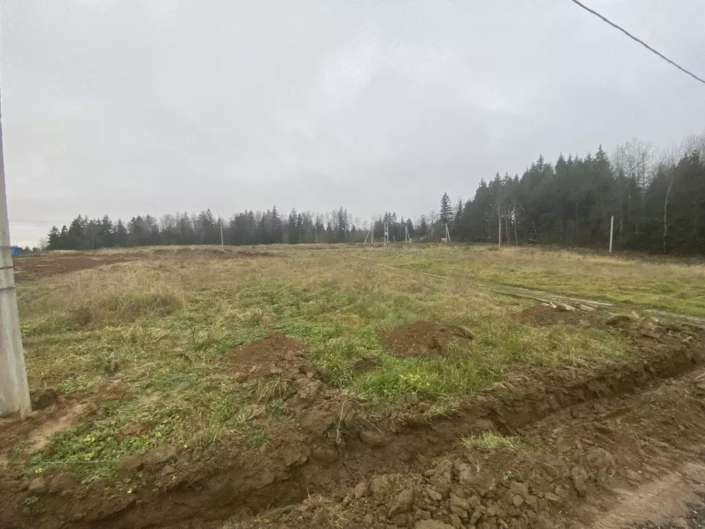 Участок в Московская область, Истра муниципальный округ, д. ... - Фото 2